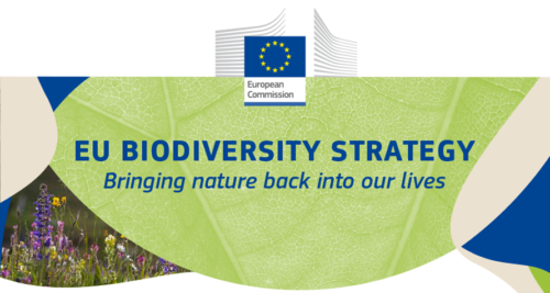 Biodiversity Strategy adopted