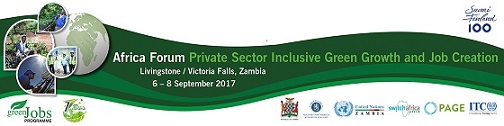 Africa Forum Private Sector Inclusive Green Growth and Job Creation